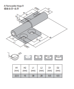 Removable Hinge PG30/45 Right