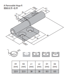 Removable Hinge PG45/45 Right