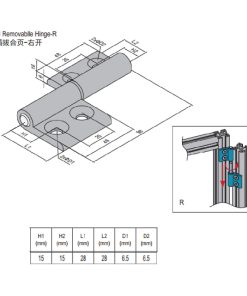Removable Hinge PG30/30 Right Set